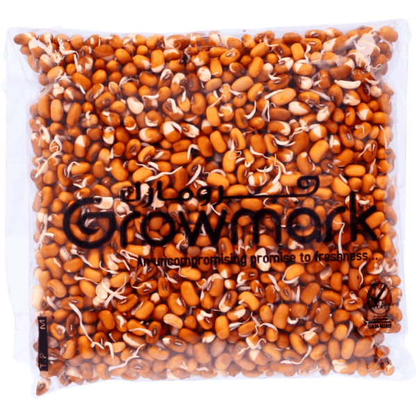 PREMIUM BROWN BEAN SPROUTS 250 gm